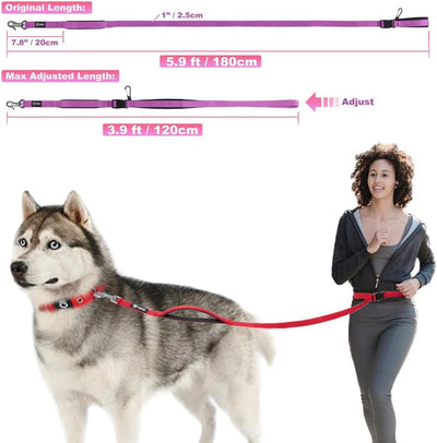 Tactical Hands-Free Dog Leash – Heavy Duty Adjustable Training Lead