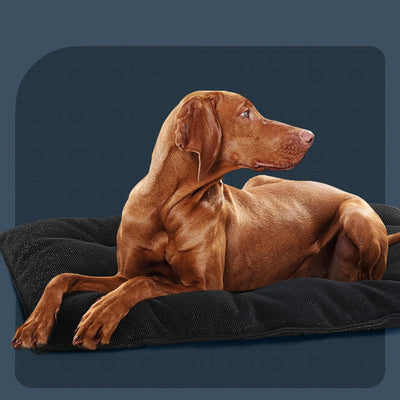 Heavy-Duty Chew Resistant Dog Crate Bed for Aggressive Chewers