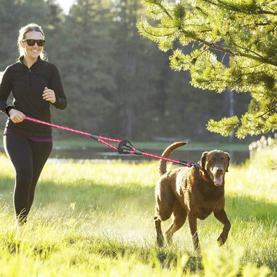 Heavy Duty Double Handle Dog Leash – Reflective Rope Lead with Padded Handles