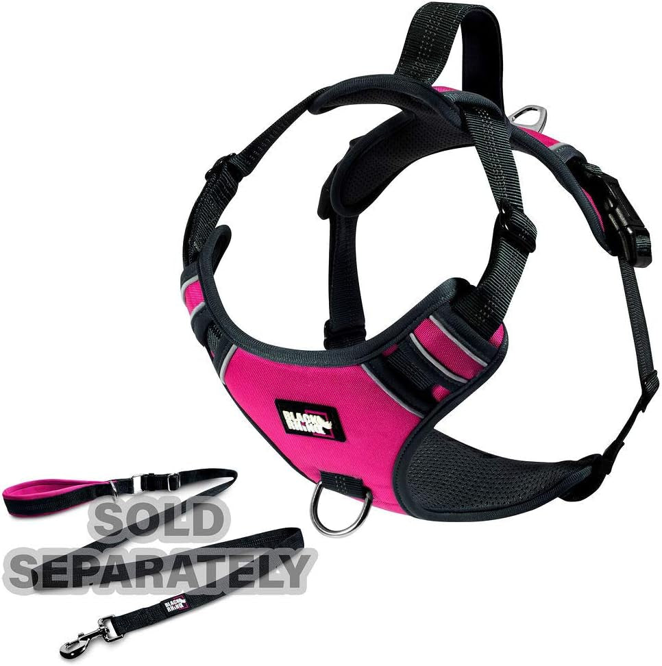 ComfortFit Reflective Dog Harness with Padded Handle