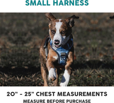 Embark Adventure Small Dog Harness – No Pull Reflective Harness with Front Clip & Comfort Handle