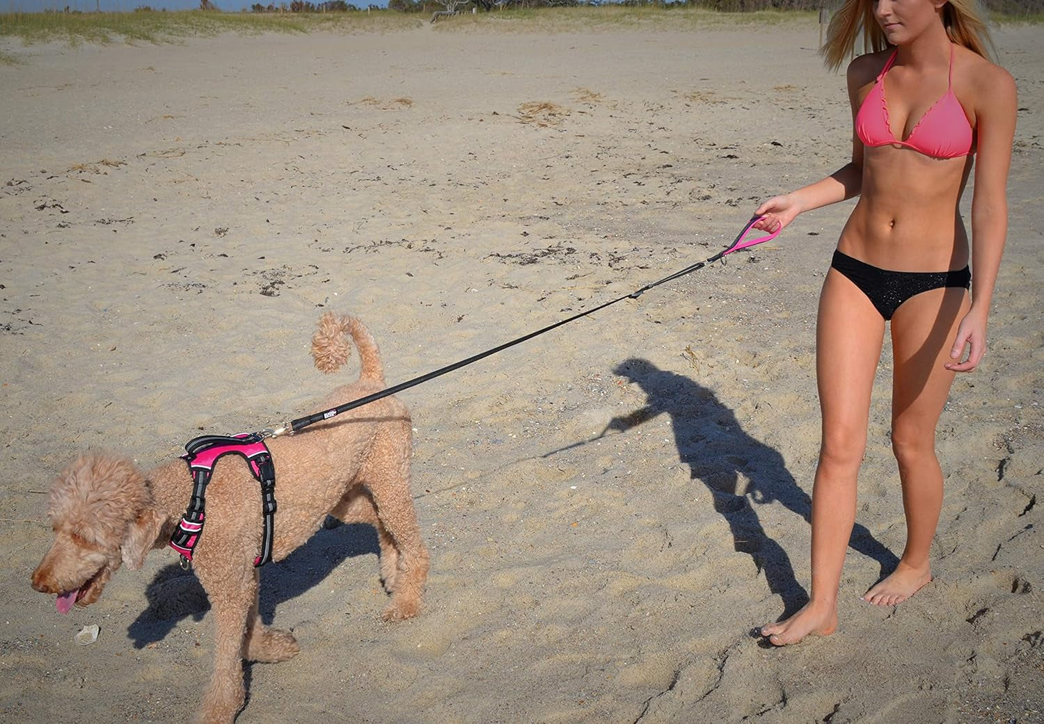 ComfortFit Reflective Dog Harness with Padded Handle