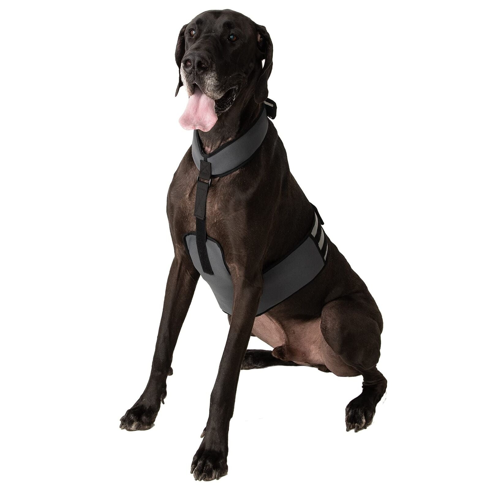 Dog Cooling Vest and Cooling Collar - Ice Vest for Dogs (XL) XL
