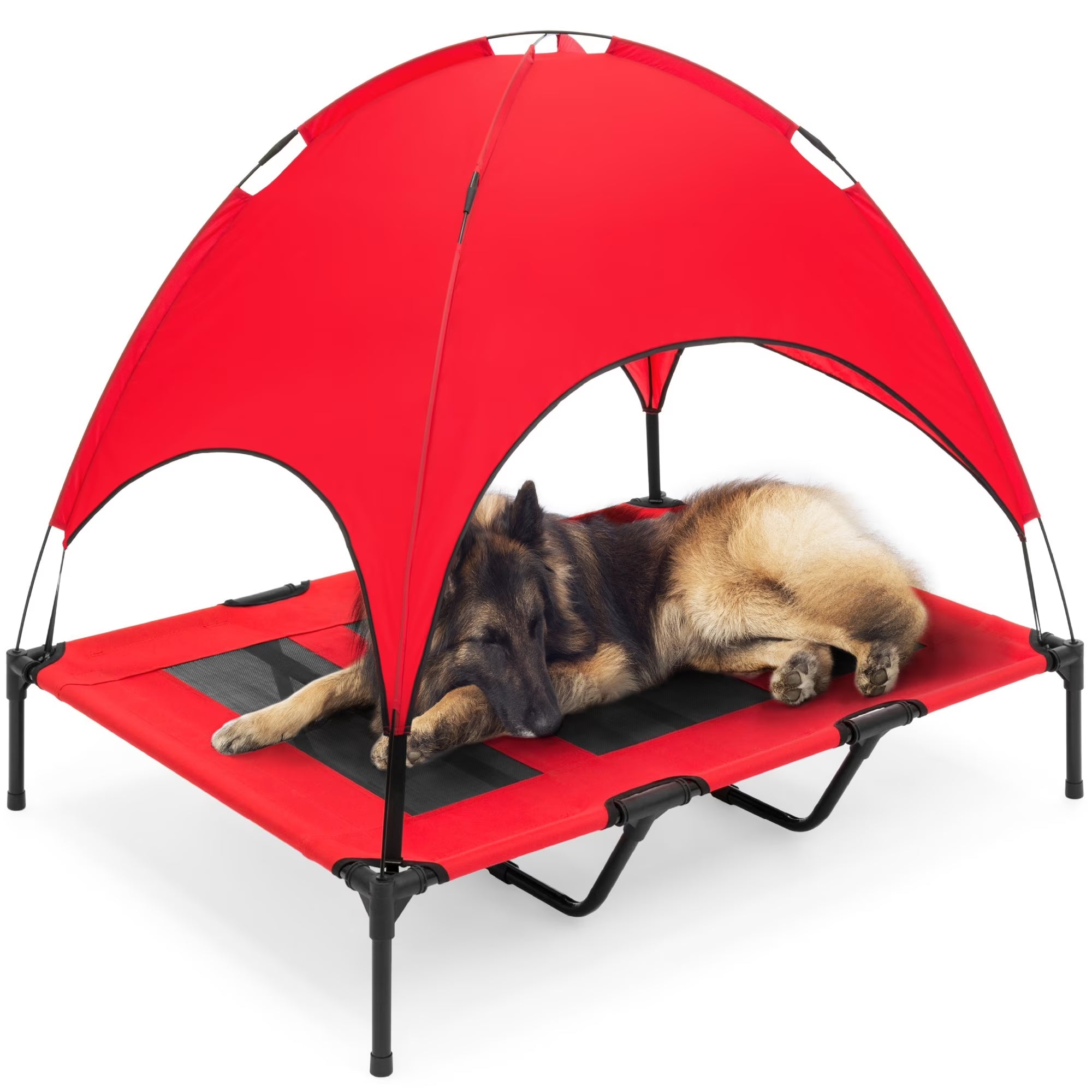 48" Elevated Cooling Dog Bed with Removable Canopy