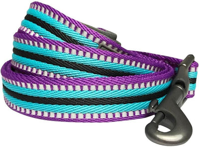 Blueberry Pet Reflective Dog Leash
