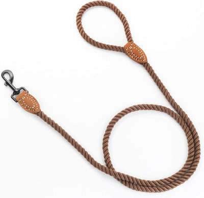 Mile High Life Braided Cotton Dog Leash with Leather Tip & Heavy-Duty Clasp