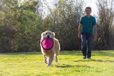 Flippy Flopper 9" Flying Disc Dog Toy – Floating Soft Fetch Discs (Pack of 5)