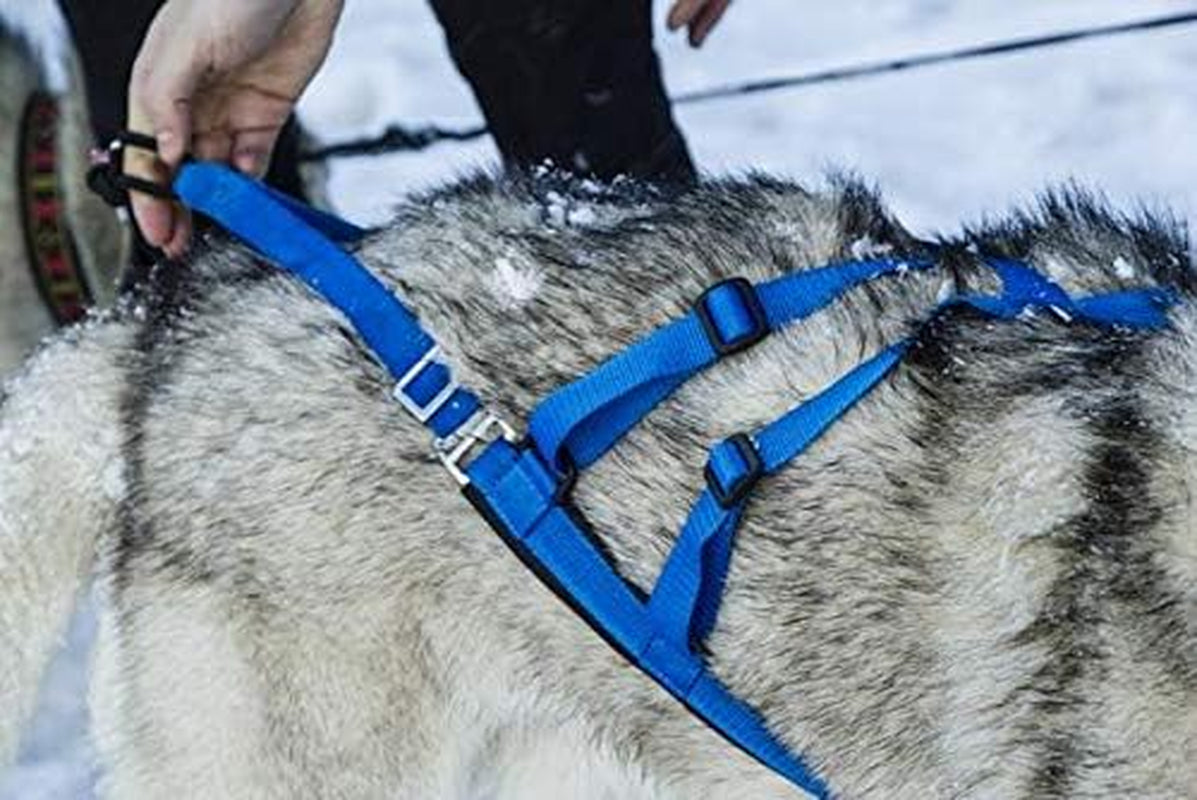Adjustable Sled Pro Dog Harness – Heavy Duty Pulling Harness for Large & Giant Breeds