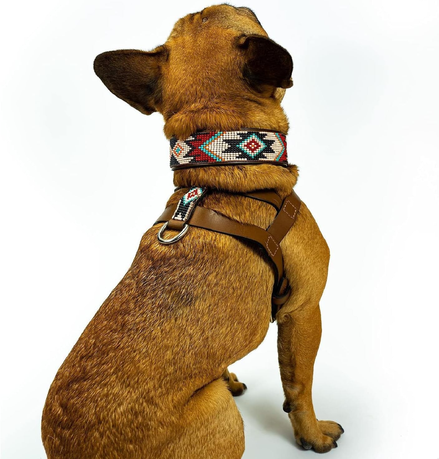 Phoenix Dog Collar - All Natural Handmade Soft Leather Dog Collar W/Durable Hand Stitched Beads and Embroidery for All Dogs (12-14")