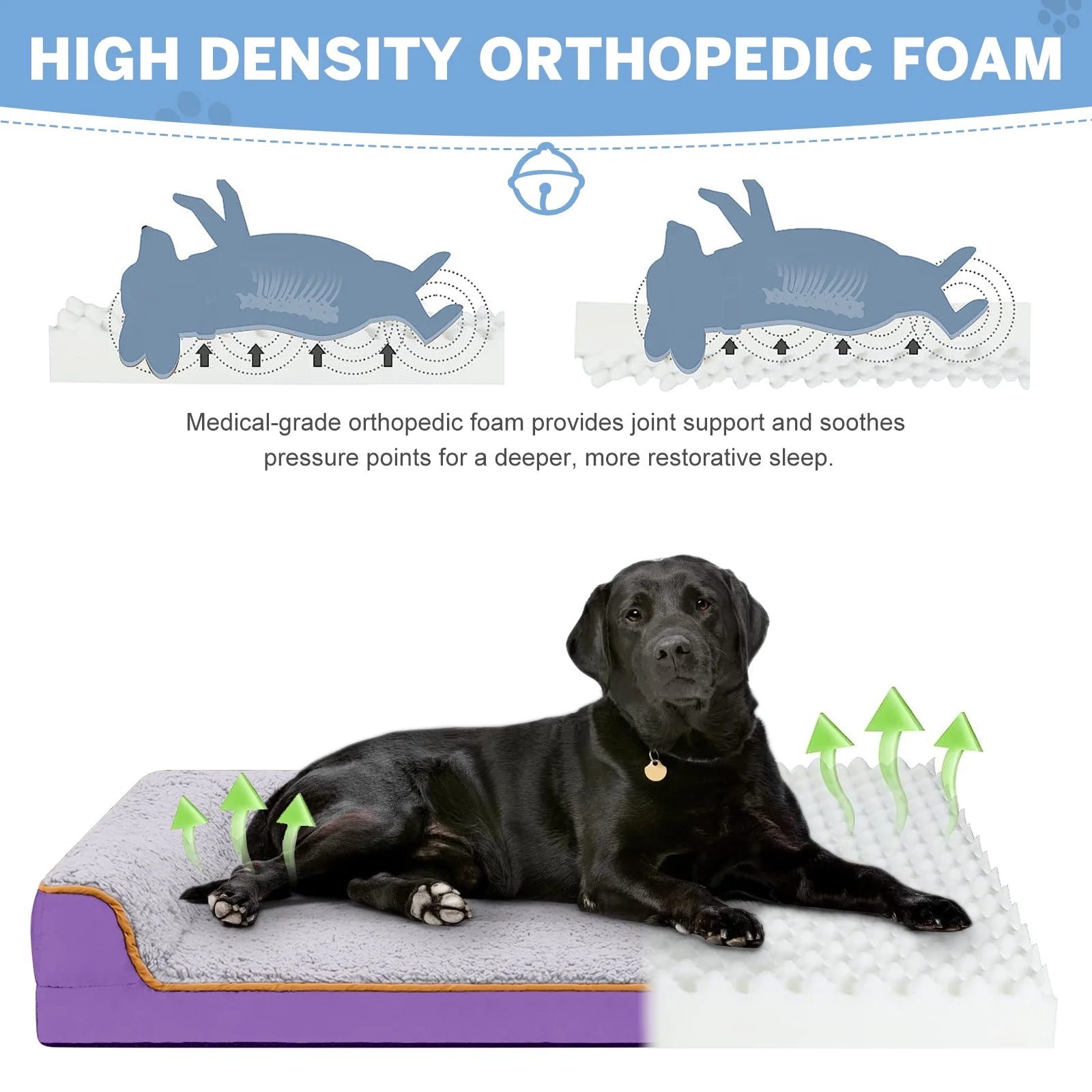 Egg Crate Foam Pet Couch with Washable Cover