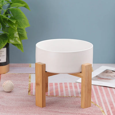 Elevated Ceramic Dog Bowl with Stand
