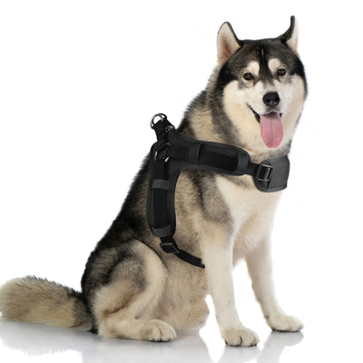 Comfort Fit Step-In Dog Harness – Padded No Pull Walking Vest for Dogs