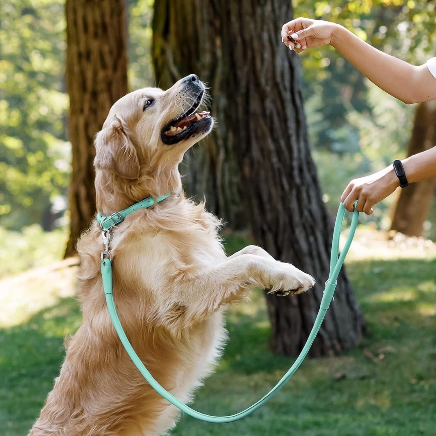 Rolled Leather Dog Leash – Soft Padded Training Lead