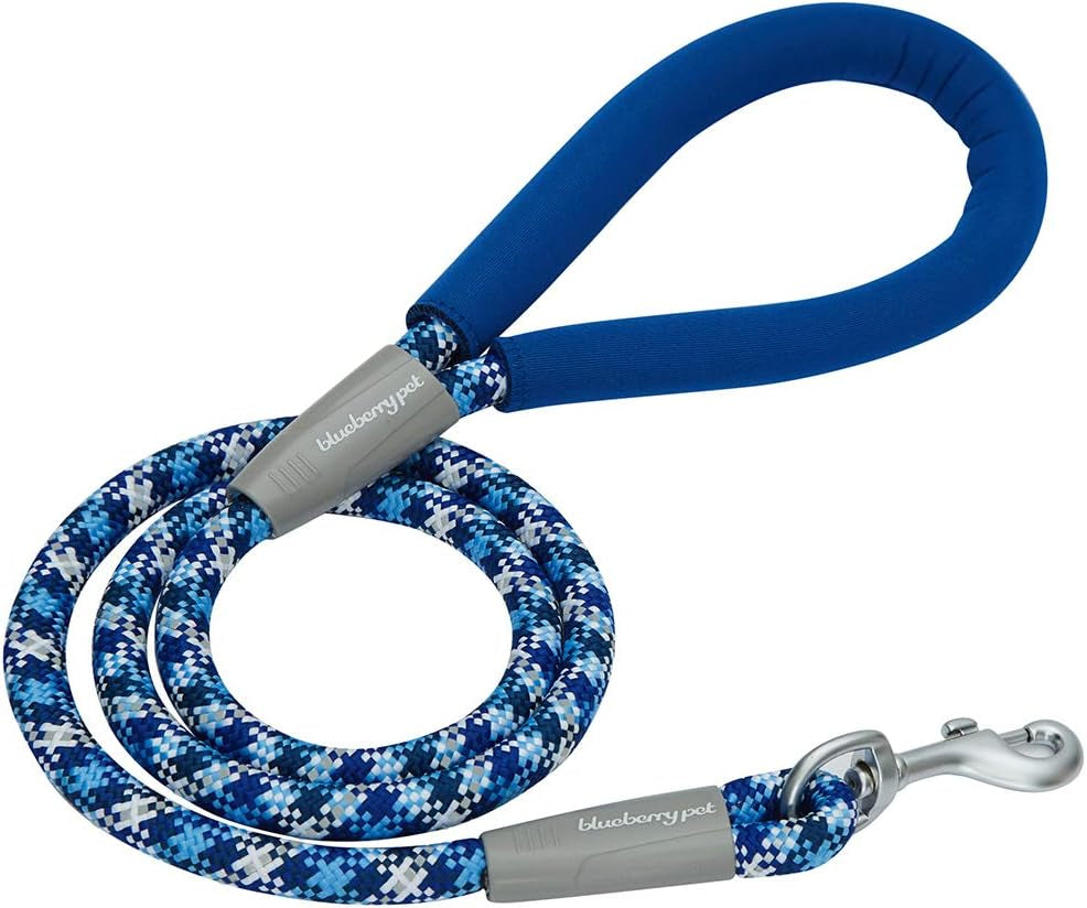Blue-Tone 4FT Walking Lead