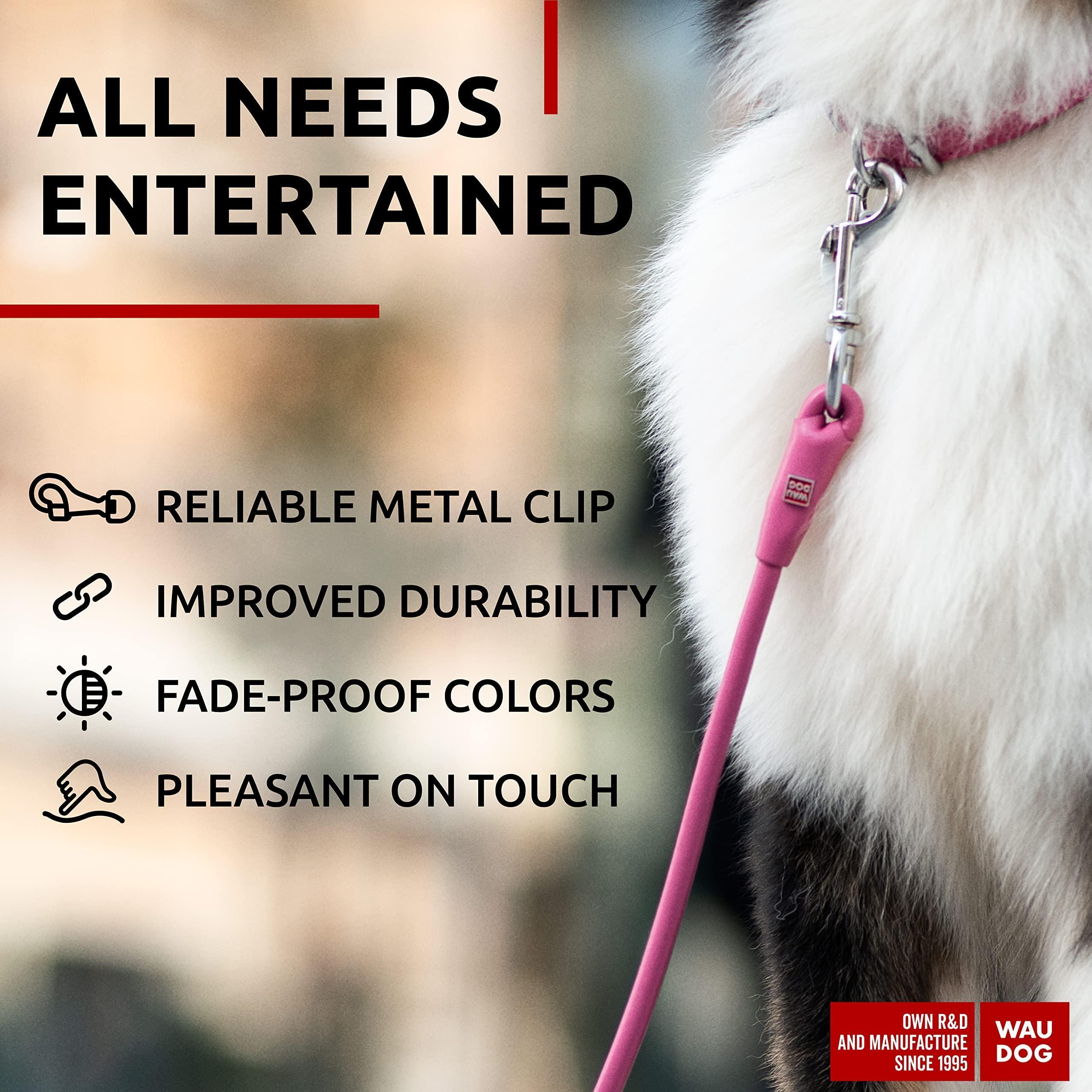Glamour Rolled Leather Dog Leash