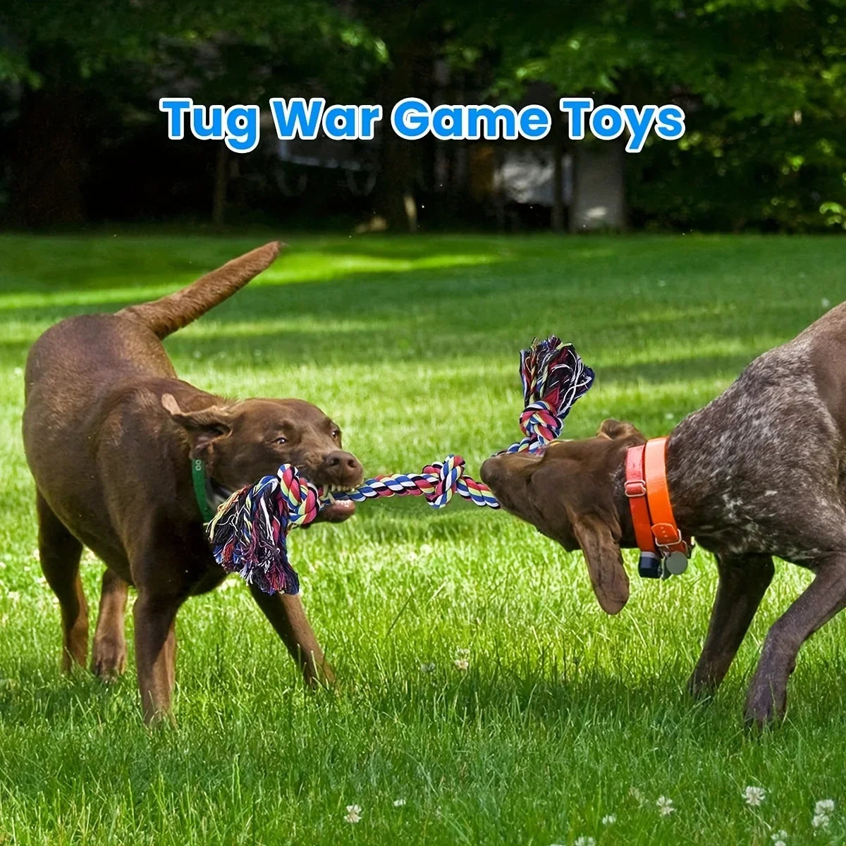 Heavy-Duty Knot Rope Dog Toy – Durable Tug & Chew Toy for Medium and Large Dogs