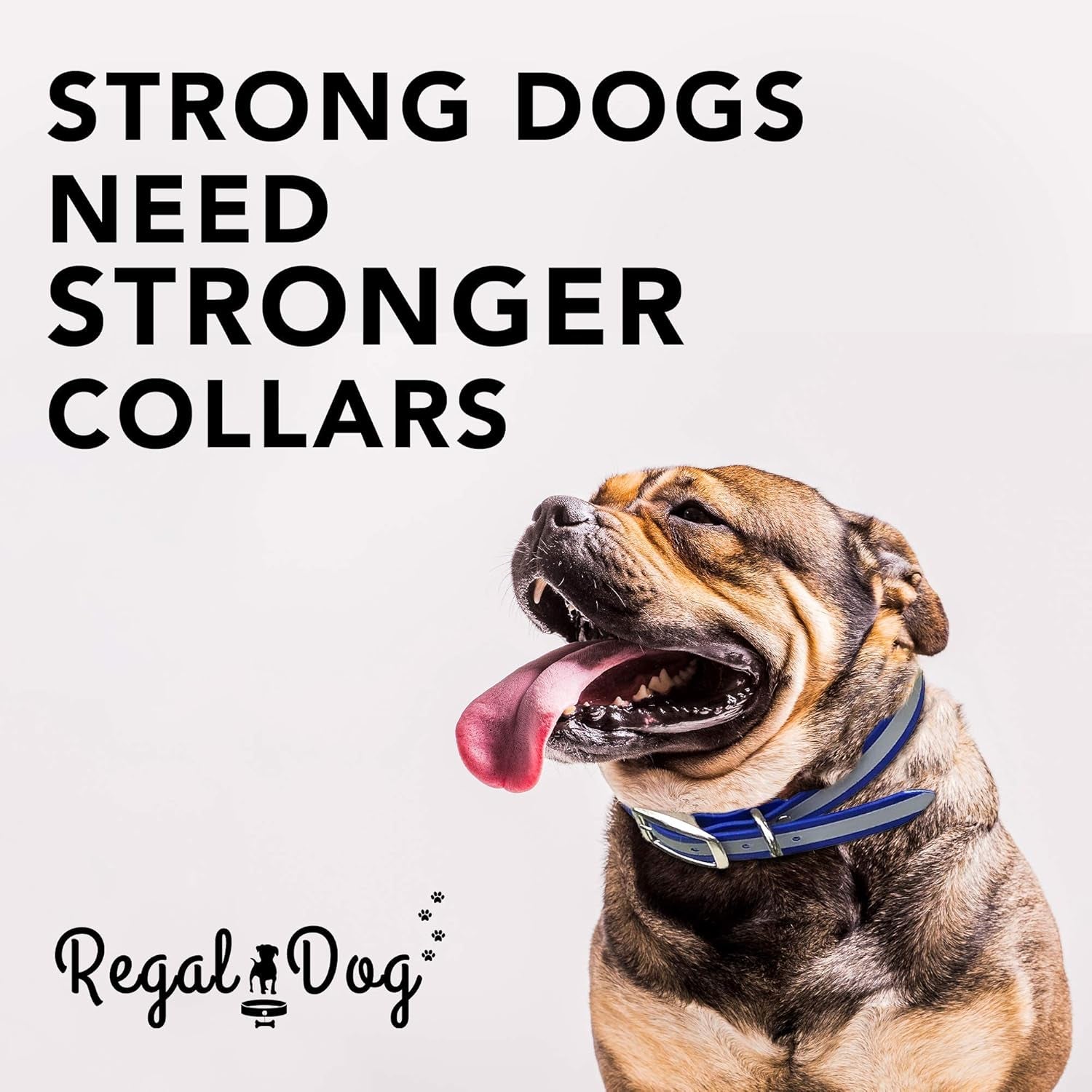 Reflective Waterproof Dog Collar with Heavy-Duty Metal Buckle