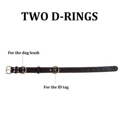 Premium Genuine Leather Dog Collar with Heavy-Duty Metal Hardware