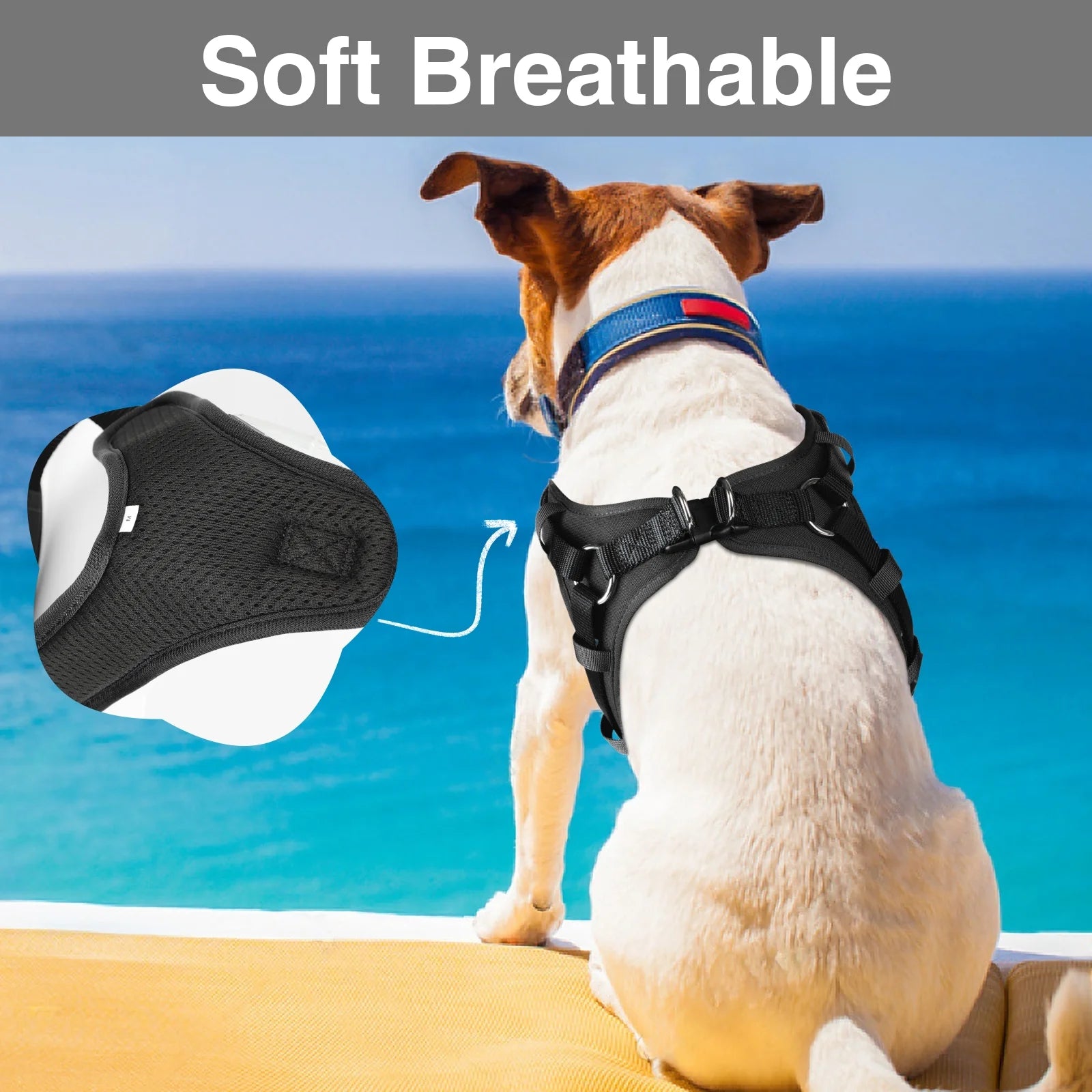 Comfort Fit Step-In Dog Harness – Padded No Pull Walking Vest for Dogs