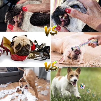Puppy Teething Chew Toy Set – Rope Balls & Interactive Teeth Cleaning Toys with Storage Basket