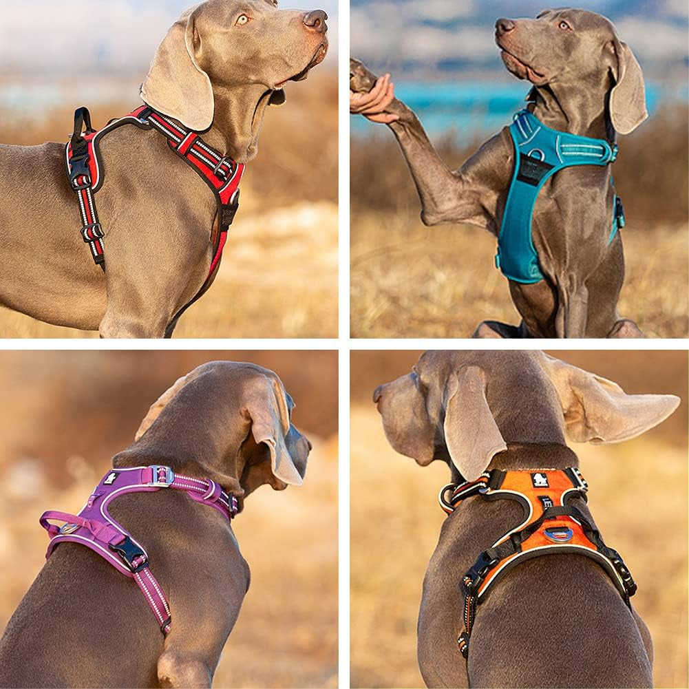 AdventureGuard No-Pull Dog Harness with Reflective Trim & Control Handle