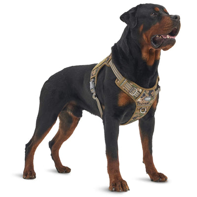 AdventureFit Tactical Walking Harness with Front Control Clip