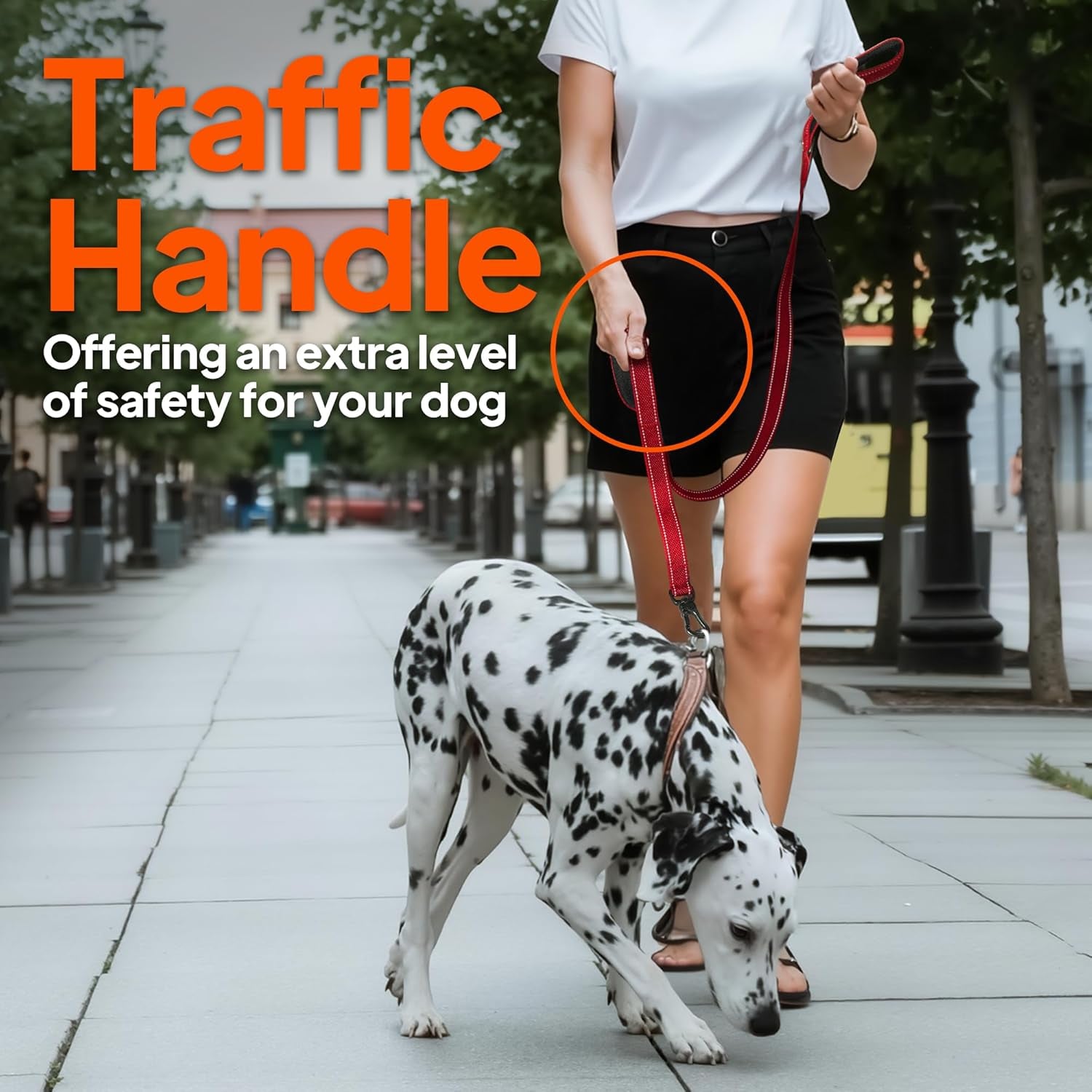 Strong Reflective Dog Leash with Dual Padded Handles – 6FT Heavy Duty Walking Lead