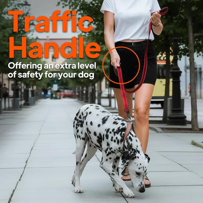 Strong Reflective Dog Leash with Dual Padded Handles – 6FT Heavy Duty Walking Lead