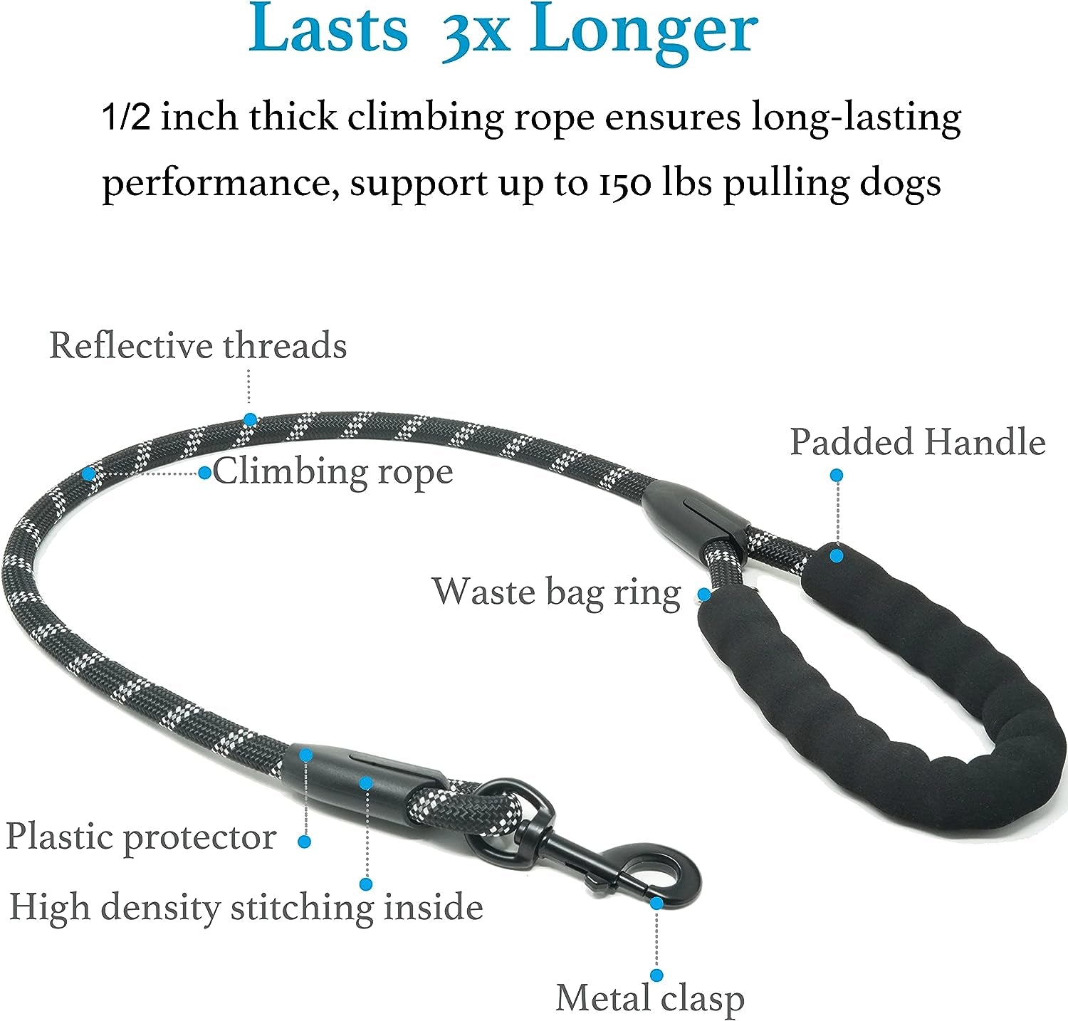 Dual Dog Leash with 360° Swivel – No Tangle Bungee Leash for Two Dogs