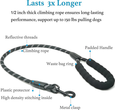 Dual Dog Leash with 360° Swivel – No Tangle Bungee Leash for Two Dogs