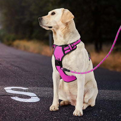 FURRYFECTION No Pull Dog Harness – Reflective No-Choke Pet Vest with Control Handle