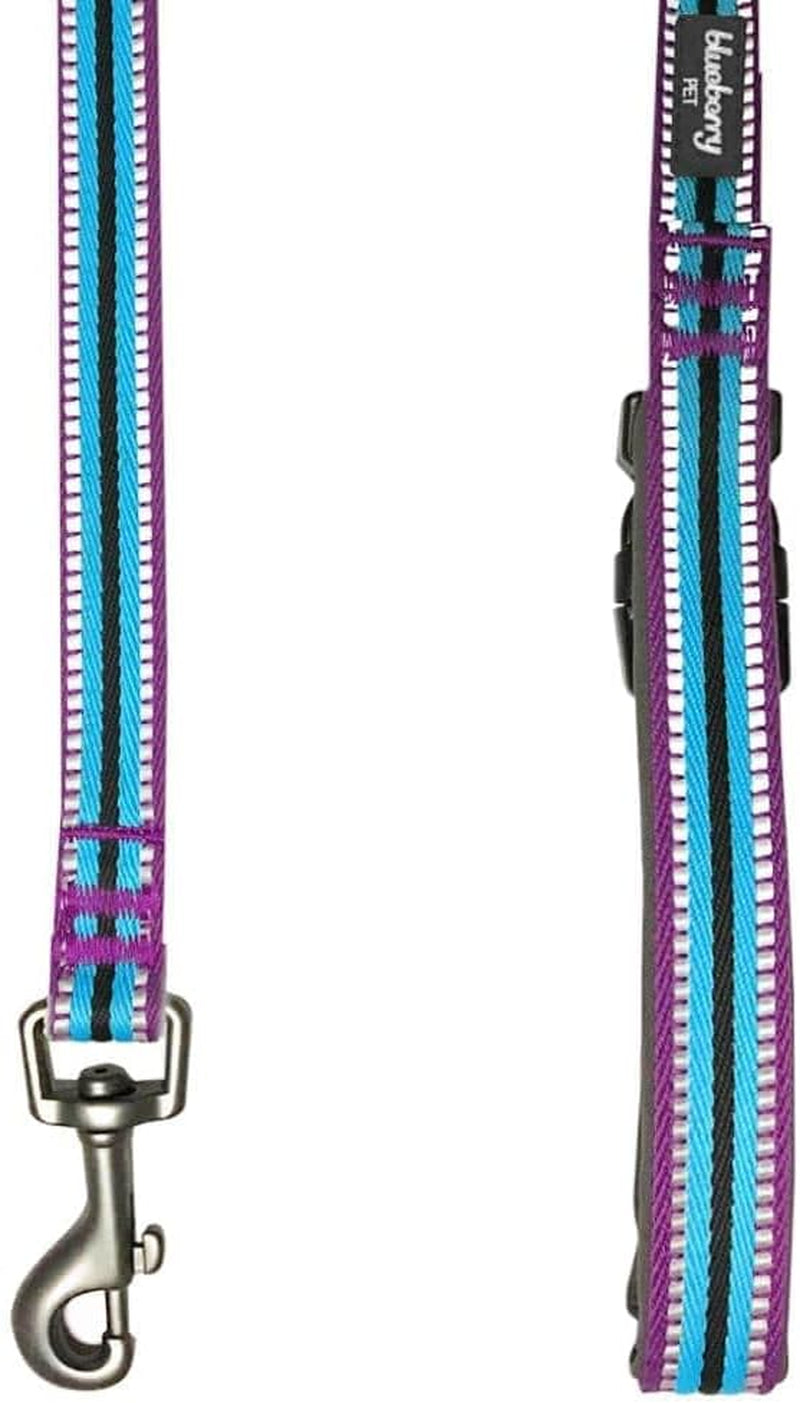 Blueberry Pet Reflective Dog Leash
