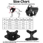 Nylon Harness And Leash Set - Image 2