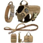 Nylon Harness And Leash Set