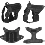 Nylon Harness And Leash Set - Image 4