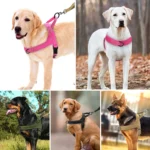 Luminous K9 Service Dog Harness and Leash Set - Image 6