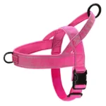 Luminous K9 Service Dog Harness and Leash Set
