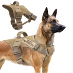 Durable Quick Release Dog Harness And Leash Set