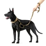 Reflective Adjustable Dog Collar with V Ring & Quick Release Metal Buckle - Image 5