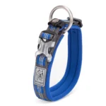 Best Neoprene Padded 3M Reflective Dog Collar