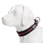 Best Neoprene Padded 3M Reflective Dog Collar - Image 3