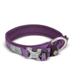 Best Neoprene Padded 3M Reflective Dog Collar - Image 4