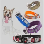 Best Neoprene Padded 3M Reflective Dog Collar - Image 5