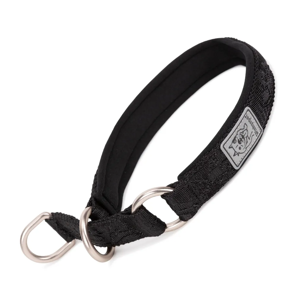 TRUELOVE-Pet-Collar-Nylon-Webbing-P-chain-Explosion-proof-Neoprene-Padding-Pets-Running-Training-Large-Medium Nylon Dog Collar Webbing P-chain - Image 1