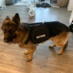 Durable Heavy Duty Tactical Harness Vest With Control Handle and Saddle - Image 6
