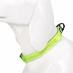 Adjustable Padded Soft Nylon Comfy Neck Dog Collars Set 3M - Image 6