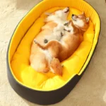 Waterproof Big Bed Pet Sleeping Cushion Mat Bed - Image 4