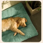 Removable Big Corduroy Pad/Bed for Medium & Large Size Dogs - Image 3
