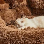 Warm Washable Plush Sofa Beds for Small Dogs or Cats - Image 5