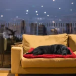 Waterproof Anti Slip Washable Outdoor Bed Cushion